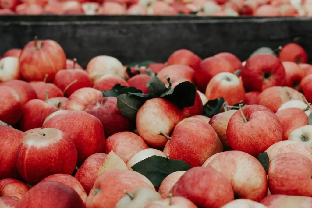 Nuevas manzanas