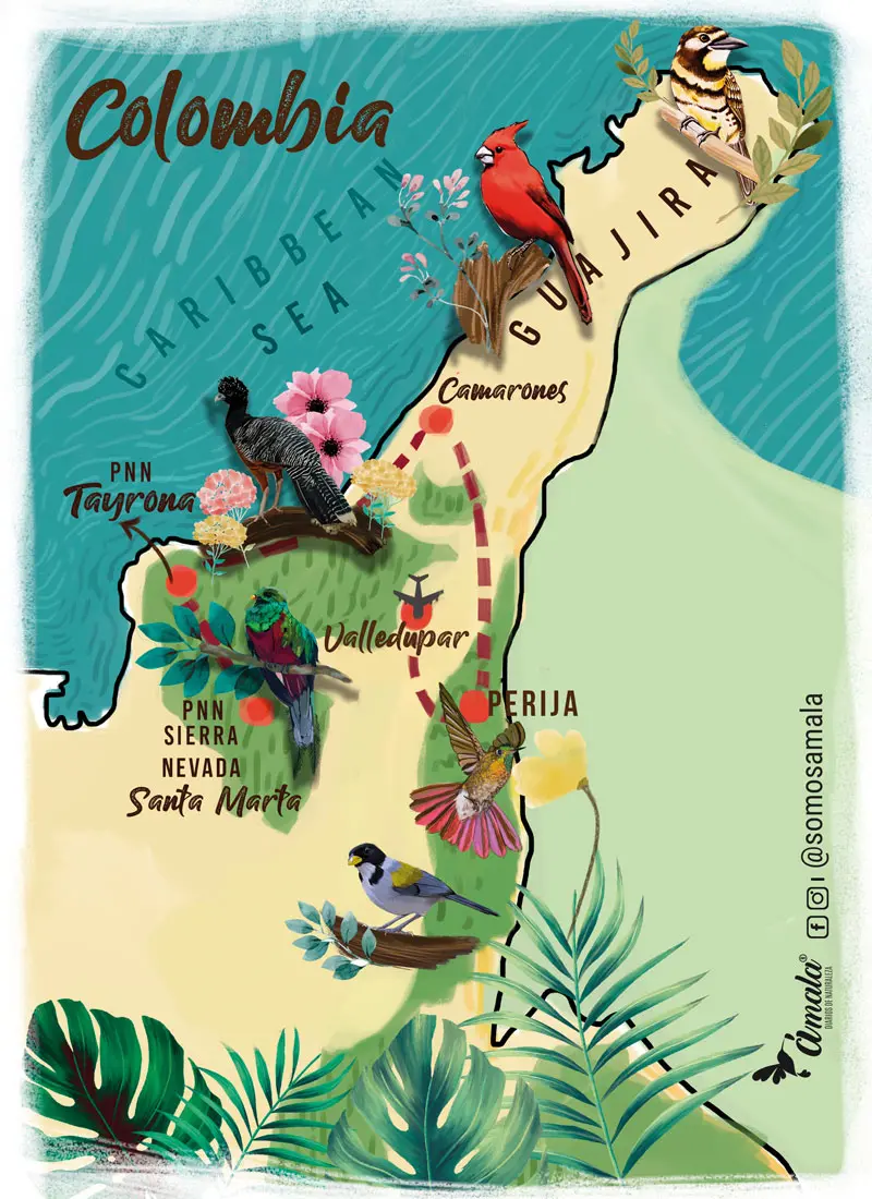 Colombia como destino para avistar aves: el proyecto de John Myers