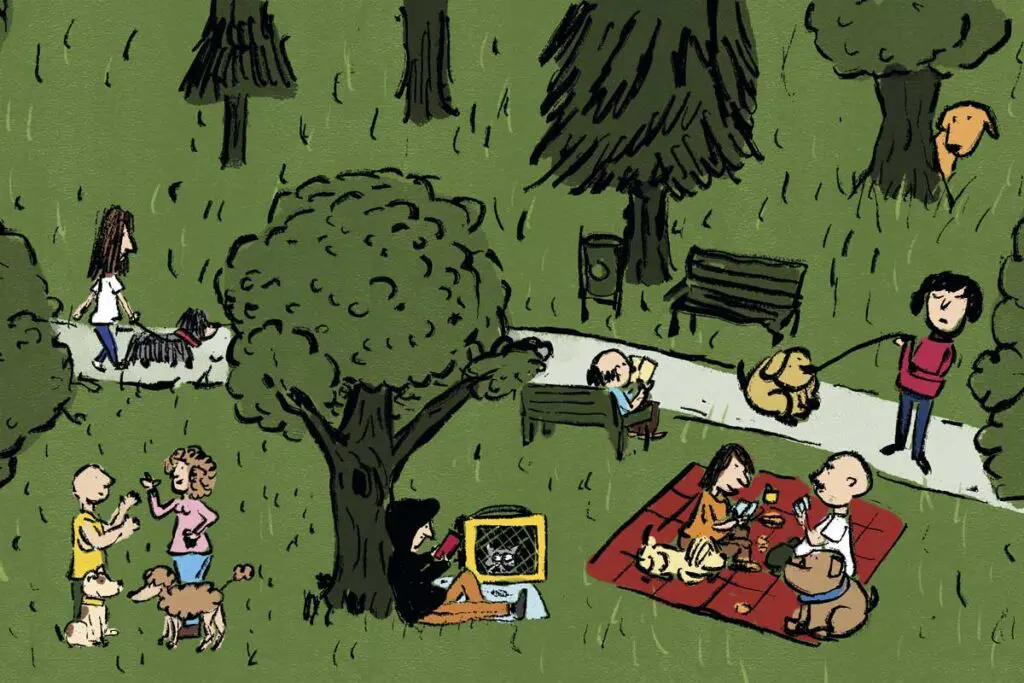 Seguro de mascotas: cuando el amor no basta