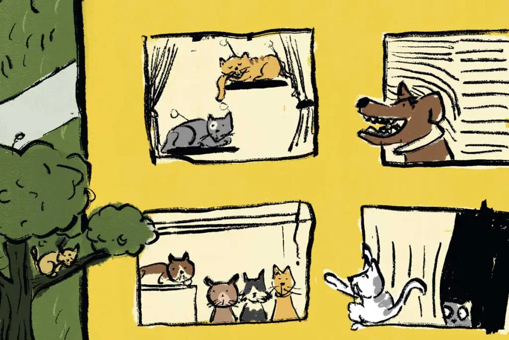 Seguro de mascotas: cuando el amor no basta