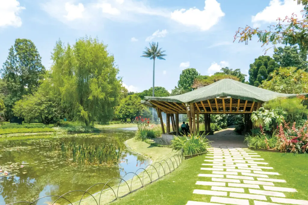 Jardín Botánico Año nuevo