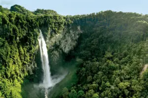 Merenberg, la saga familiar de la conservación ambiental