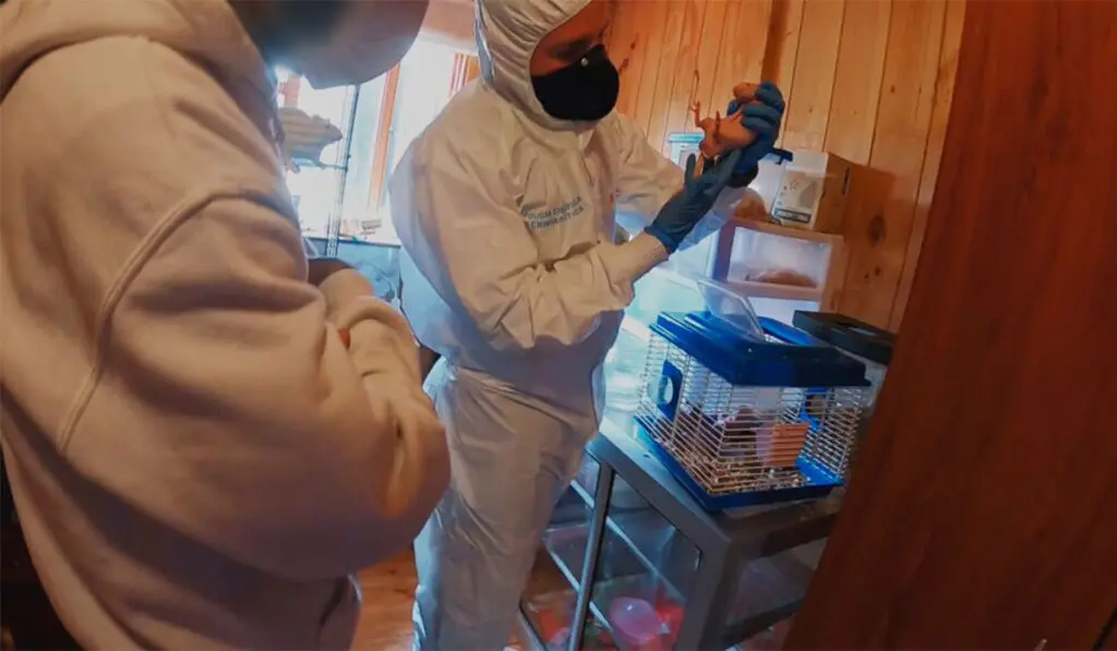 Metrópoli Bogotá A&E