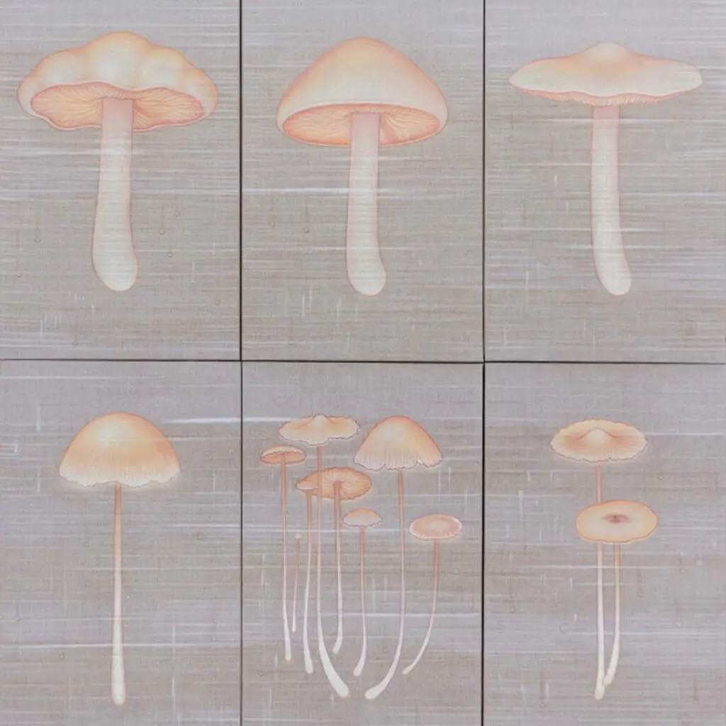 Miguel böhmer, artbo, fin de semana,