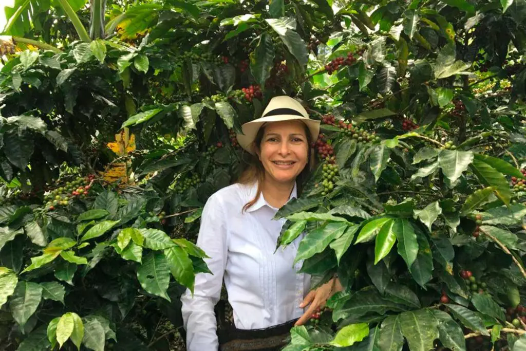 Cuatro cafés especiales de Colombia que sorprenden al mundo Cuatro cafés especiales de Colombia que sorprenden al mundo