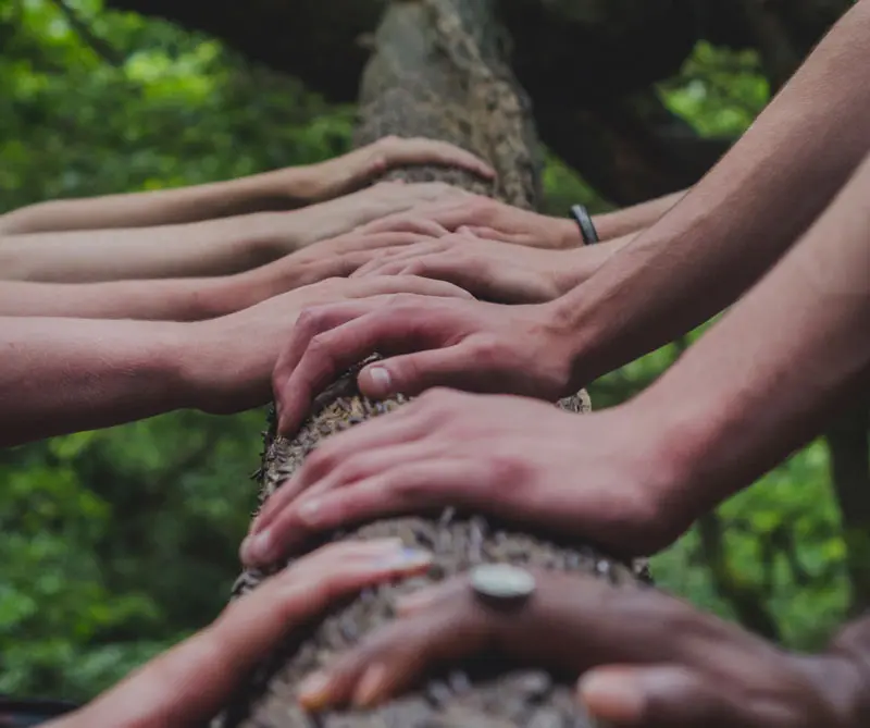 Moderación: la clave para conseguir el equilibrio