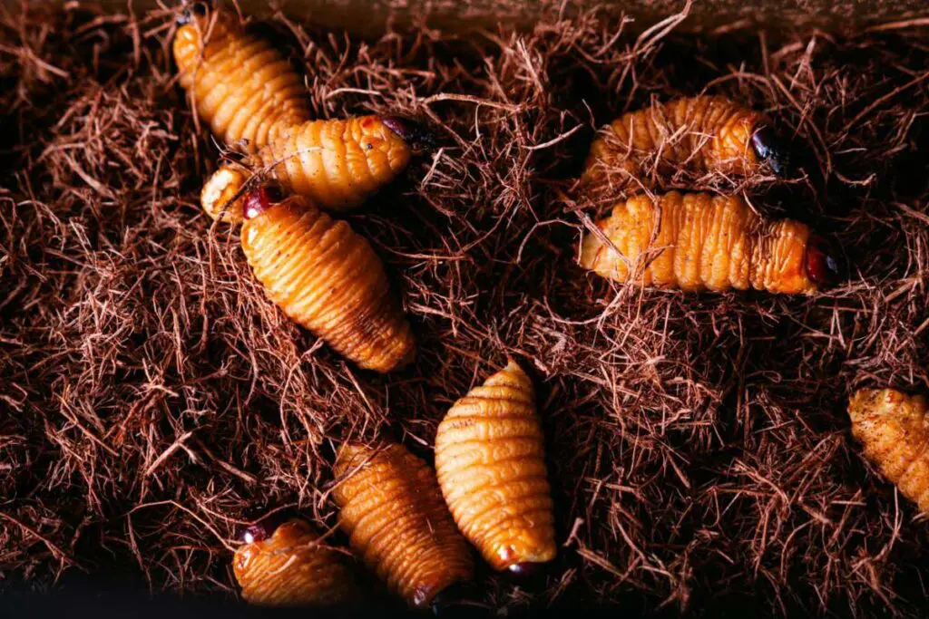 La gastronomía de Colombia es una revolución a fuego lento