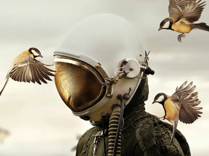 Galería: Vea las fotos finalistas del Sony World Photography Awards 2019