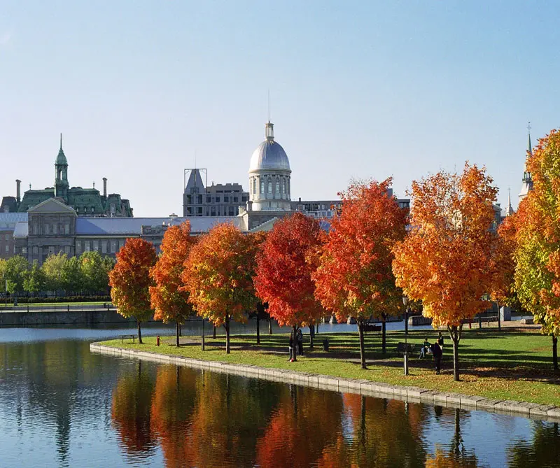Ciudad, montreal