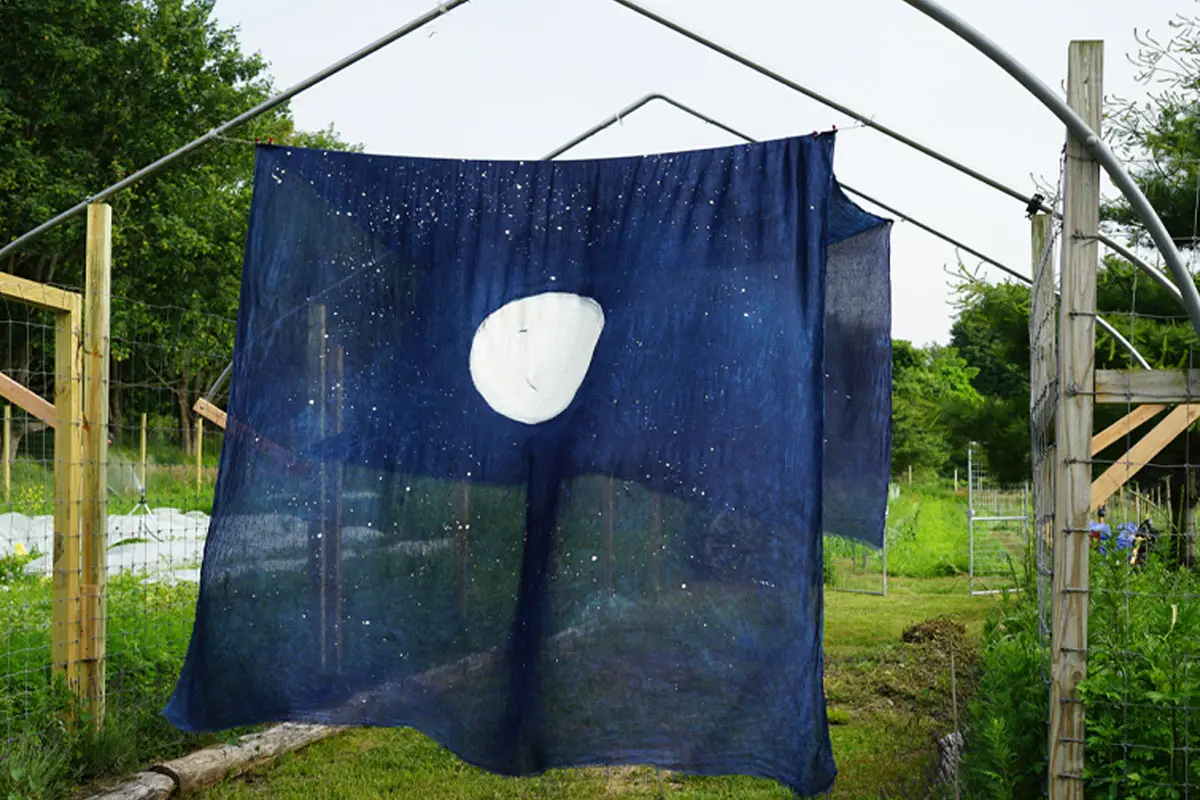 Lia Chavez, Infinite Seed