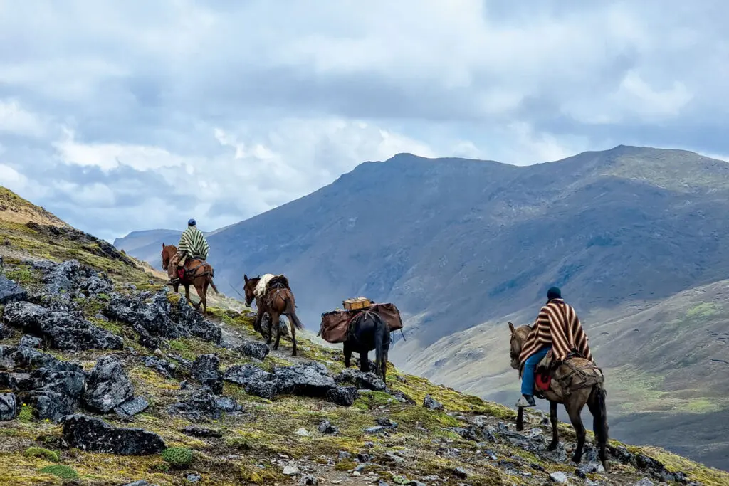 La travesía en mula por Suramérica de Simón Vergara Simón Vergara