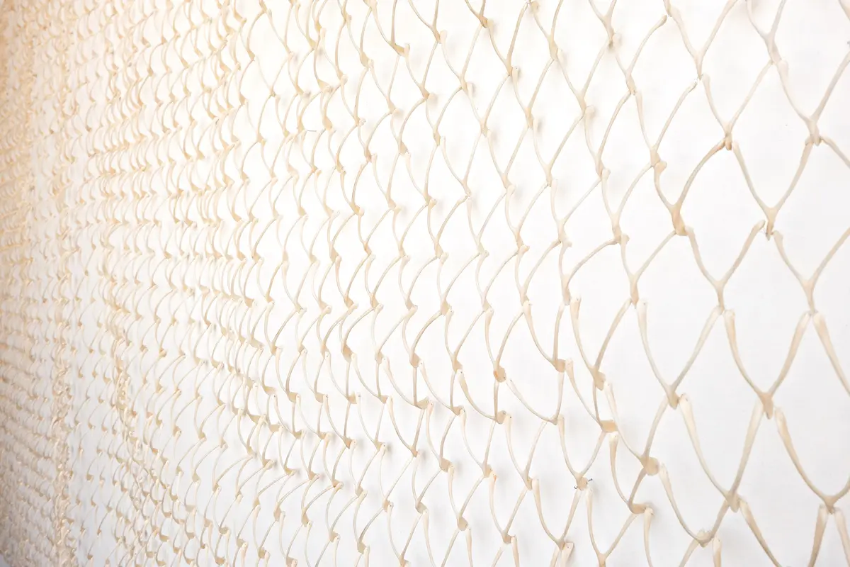 Estos son los 3 nuevos libros de arte contemporáneo colombiano de seguros bolívar