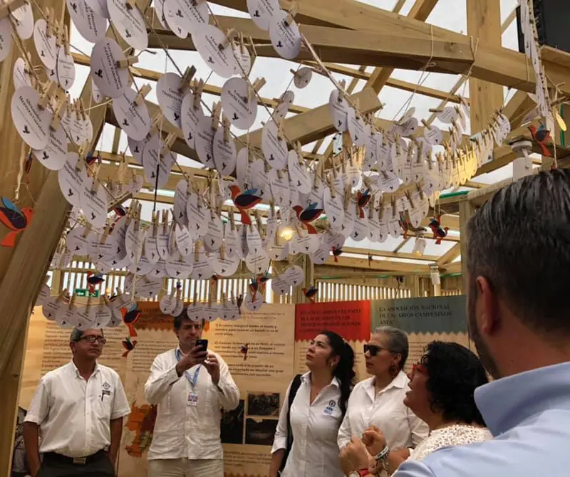 Montes de María