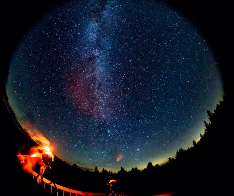 Vea los temas más populares de 2017