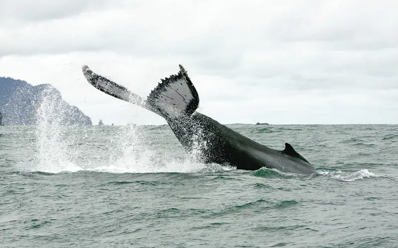 Los lugares más hermosos de Colombia