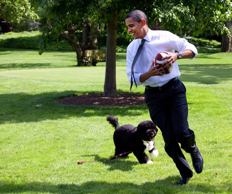 El adiós de barack obama Obama3_800x669