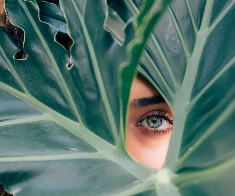 Eyes_