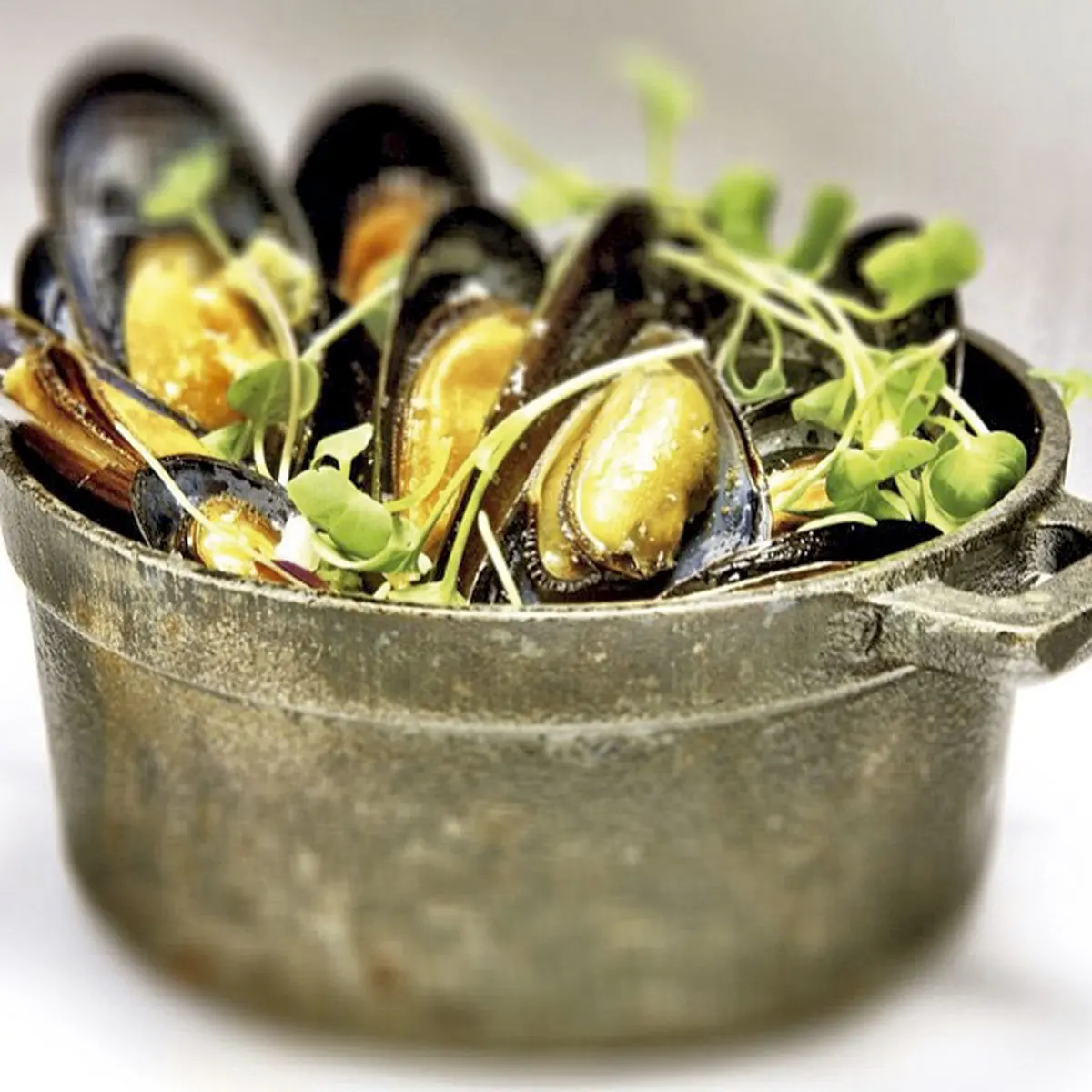 Lujo, placer y aventura en Panamá, un destino para redescubrir