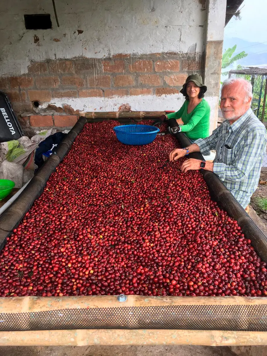 Irrúa, el café excelso de norte de caldas que usted debe probar Padres de luis felipe escobar