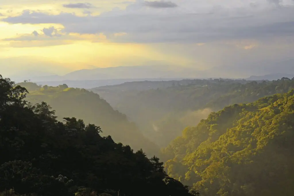 Un viaje por los senderos del café en colombia Un viaje por los senderos del café en colombia