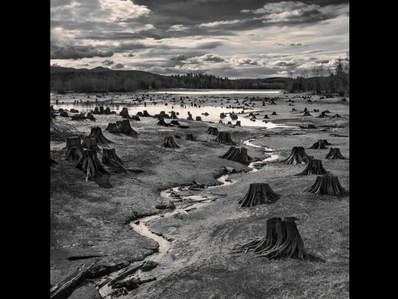 Galería: Vea las fotos finalistas del Sony World Photography Awards 2019