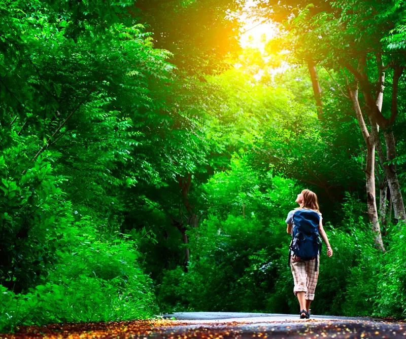 Encuentre su Ikigai en 2025