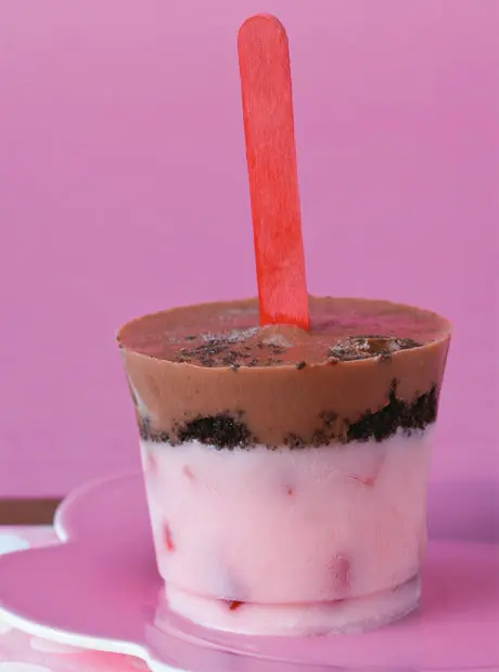 Paletachocolate_460x620