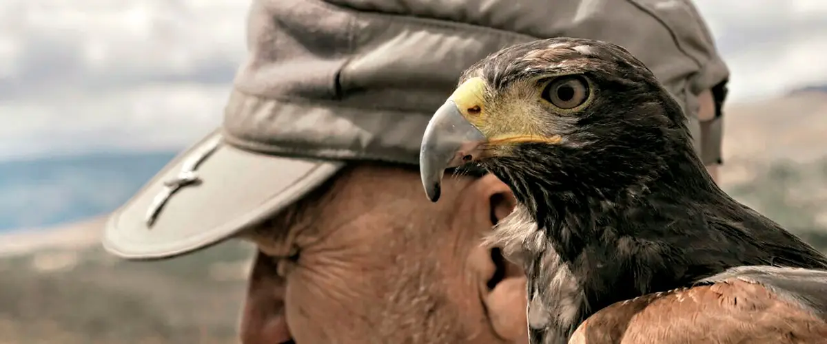 Paola Baldión: "Somos ciudadanos del mundo"