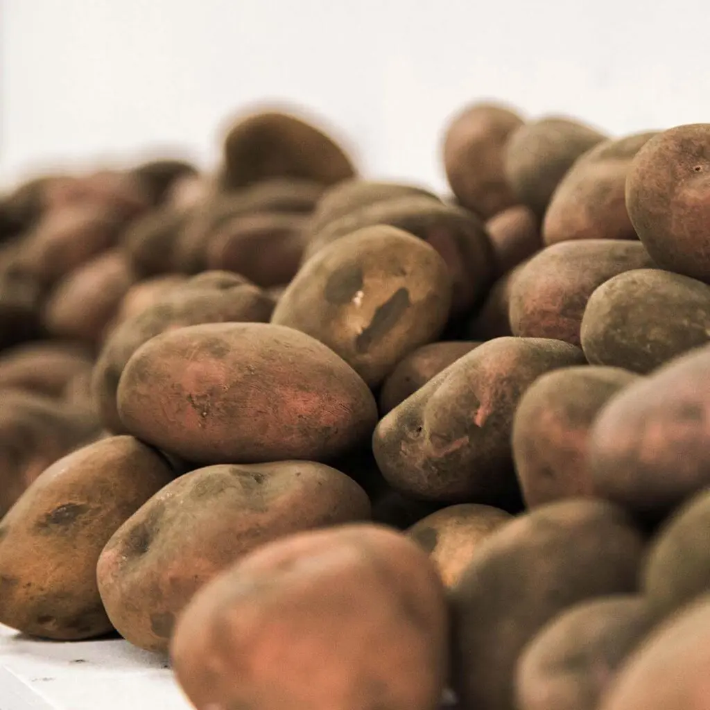 “El arte debe ser una provocación y una motivación”, Ernesto Restrepo ‘El Papas’ “El arte debe ser una provocación y una motivación”, Ernesto Restrepo ‘El Papas’