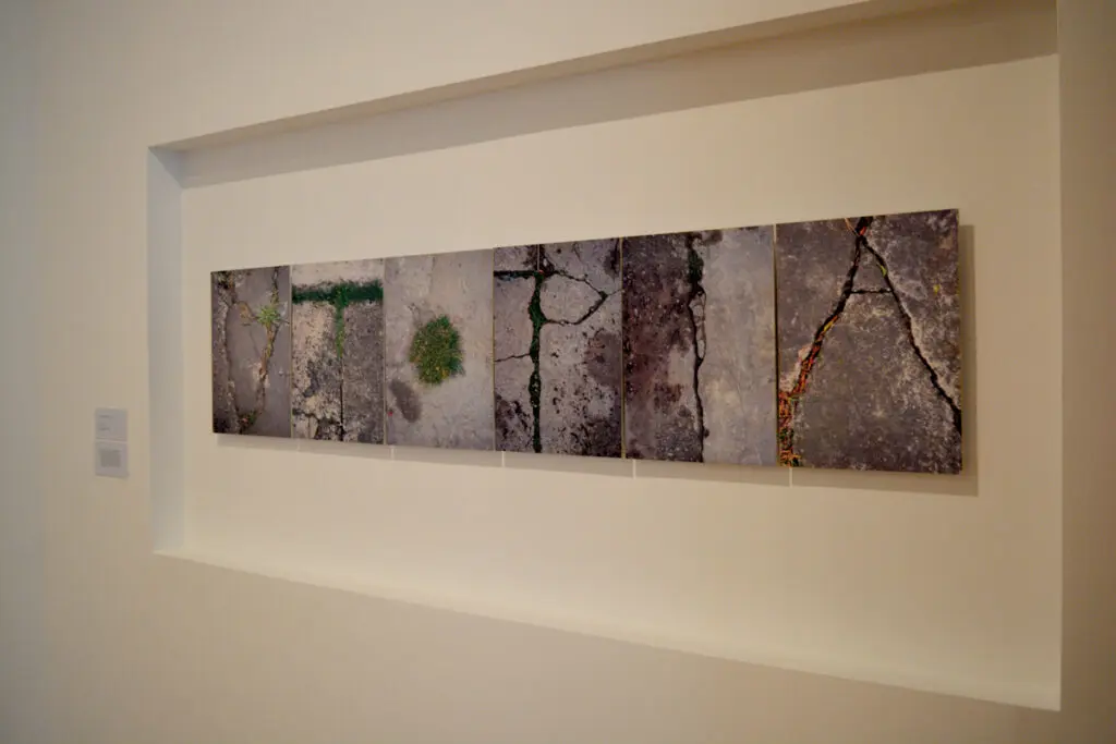 Paraísos y jardines: la exposición en el mamu que retrata la promesa de un mundo mejor