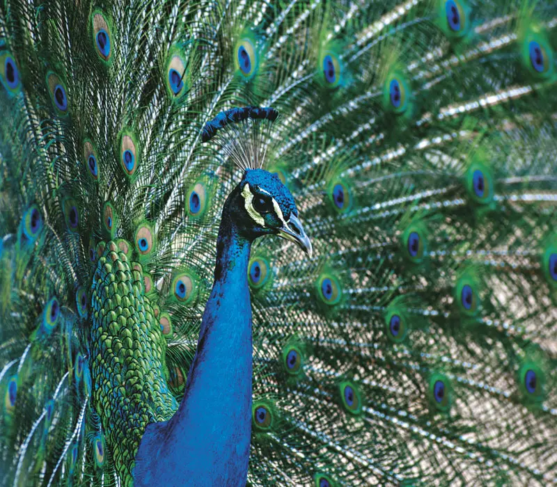 Libro recomendado de la semana: 'Esta es Colombia'