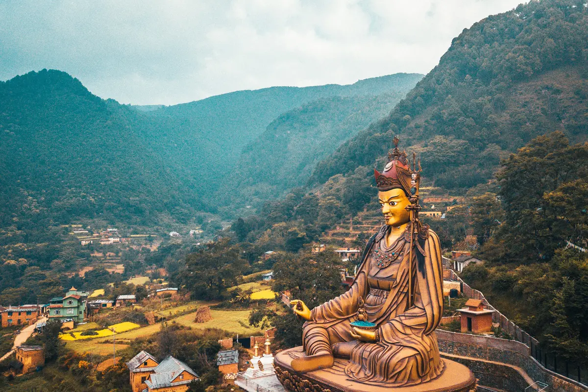 Flor de cerezo en los jardines del templo zen en primavera