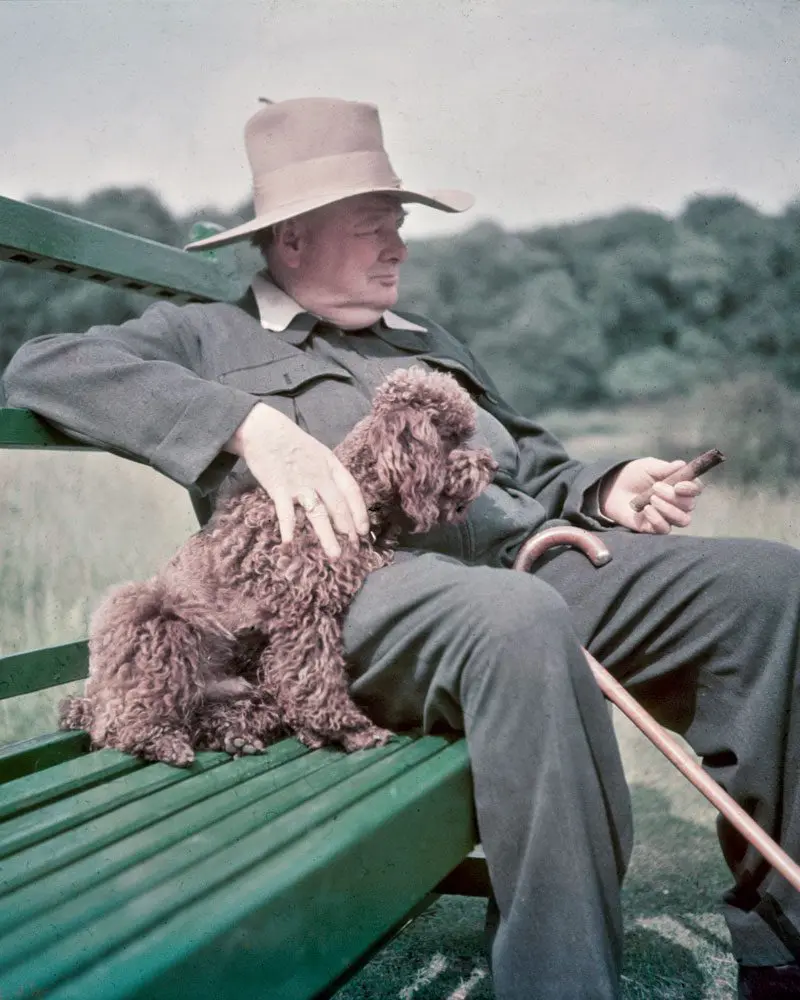 Winston churchill por juan gustavo cobo borda Perro_churchill