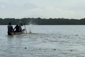 bolicheo ciénaga grande