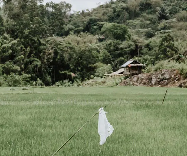 La guerra contra los plásticos de un solo uso