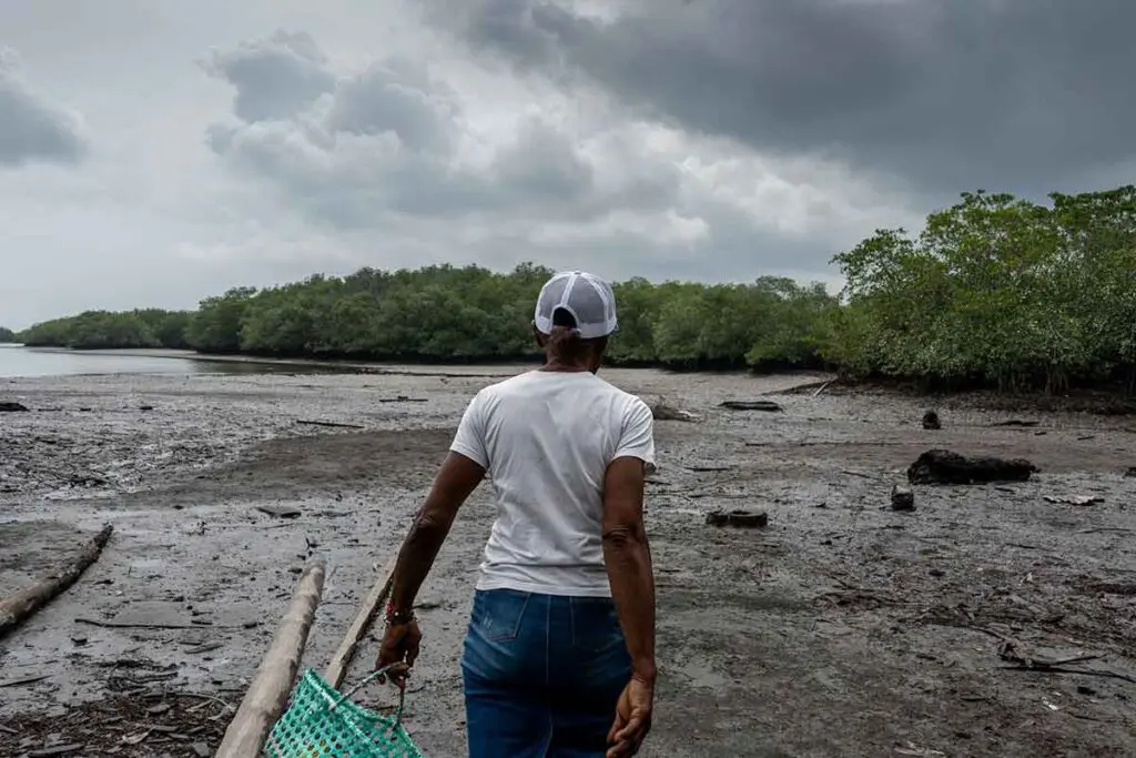 Piangüeras: las matronas de los manglares en tumaco