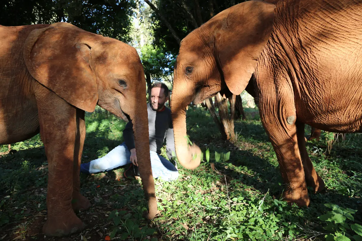 La emocionante y dolorosa aventura de Pirry en África