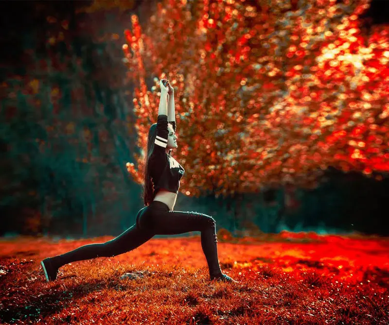 Vea los temas más populares de 2017