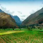 Ecuador: Orellana, Sucumbíos, Esmeraldas, Imbabura y Napo son algunas de las regiones en donde encontrará los cafetales de calidad y con técnicas modernas de cultivo que permite una mayor productividad con granos de café Arábica (Arabia) y Robusta (África).