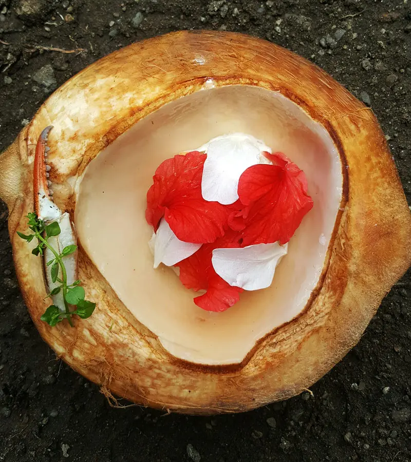 Celele es el 48 mejor restaurante del mundo en The World's 50 Best Restaurants