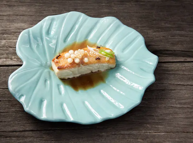 plato_mini_mal_620x460