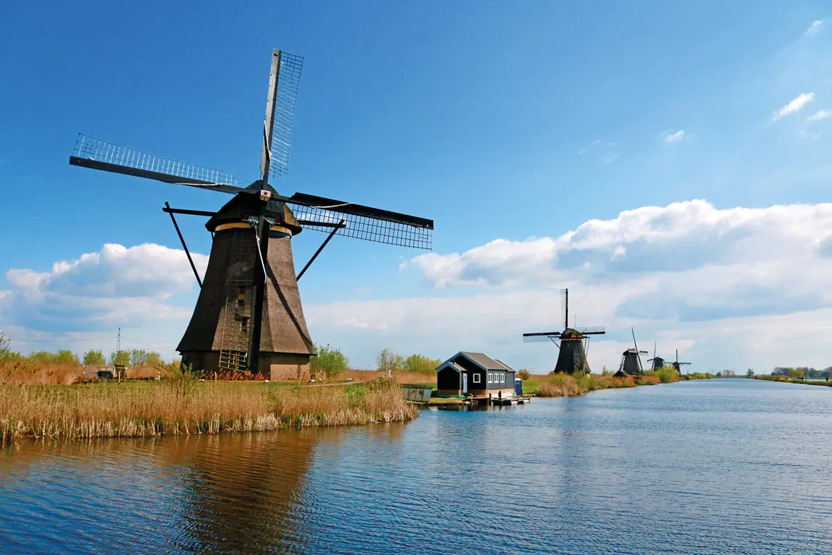 La receta que debe conocer para preparar pan de masa madre recetas