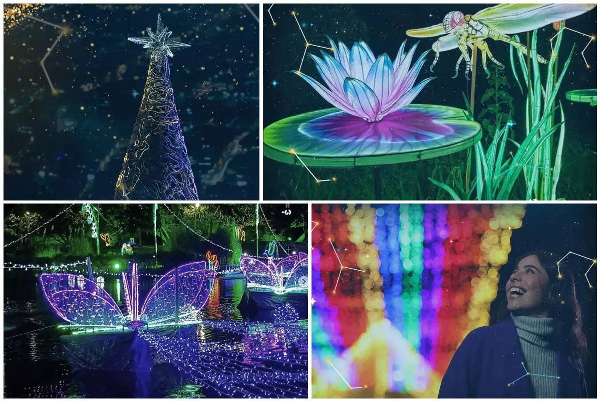 alumbrados navideños, Bogotá, Navidad