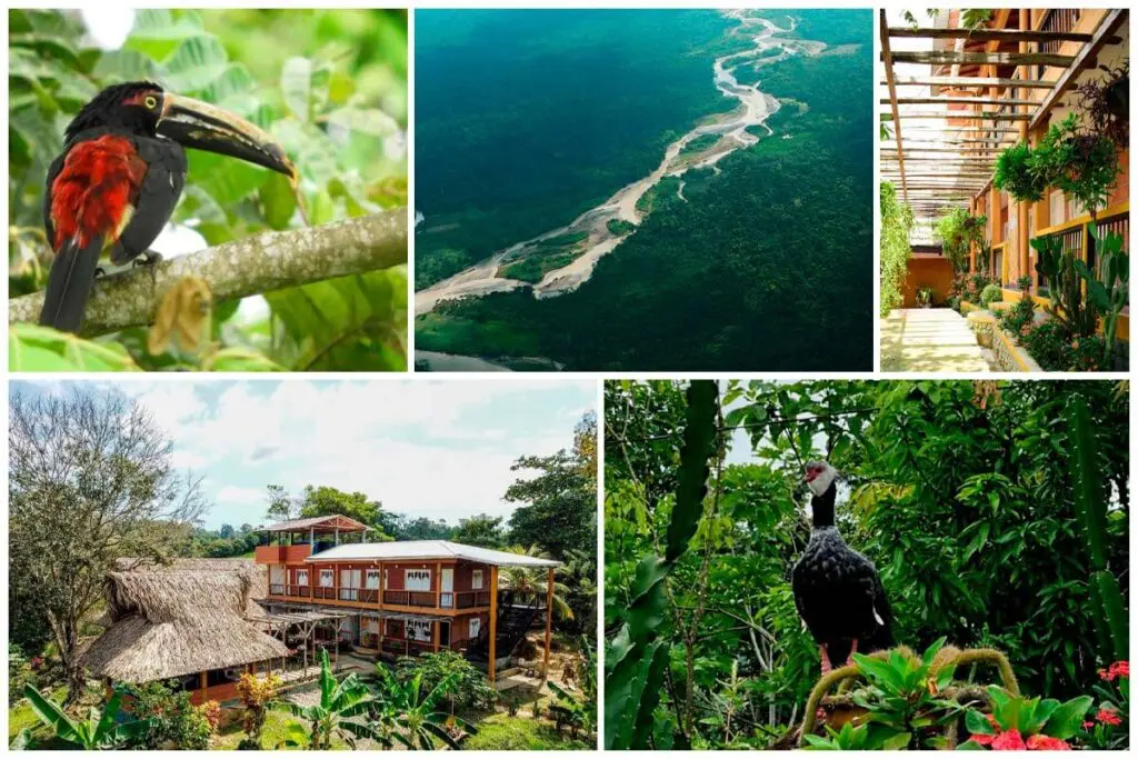 Apartadó: un destino de parques, playas y naturaleza Apartadó