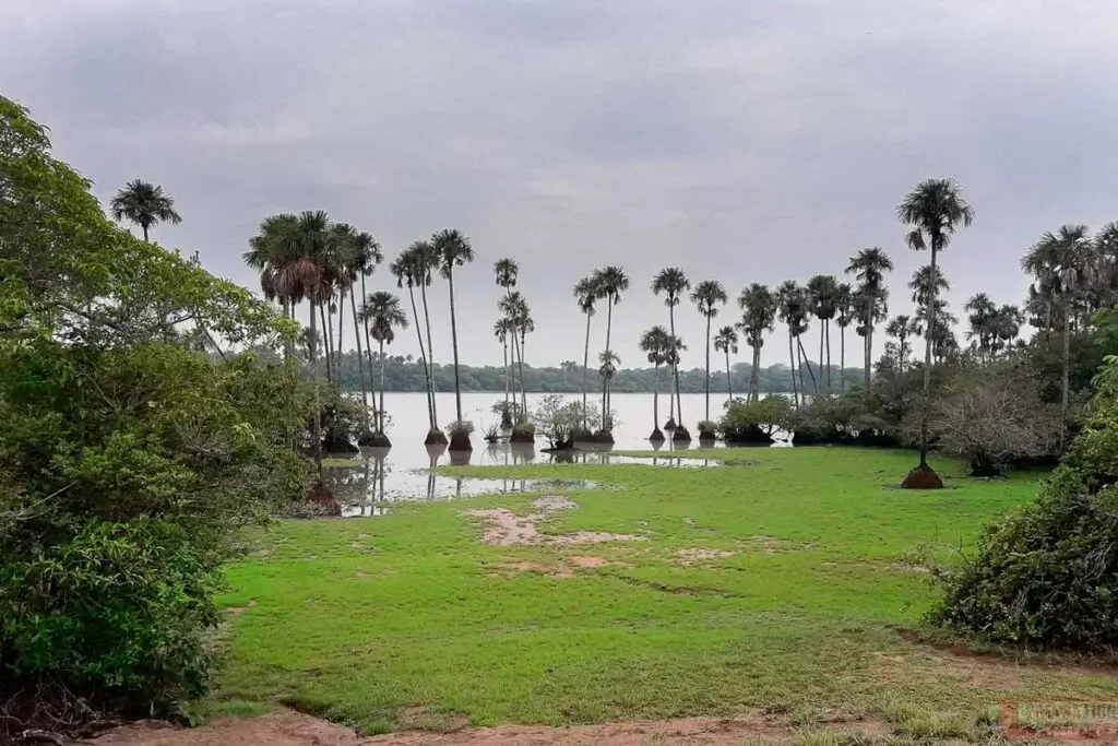 Casanare, Reserva Natural Palmarito, semana de receso,