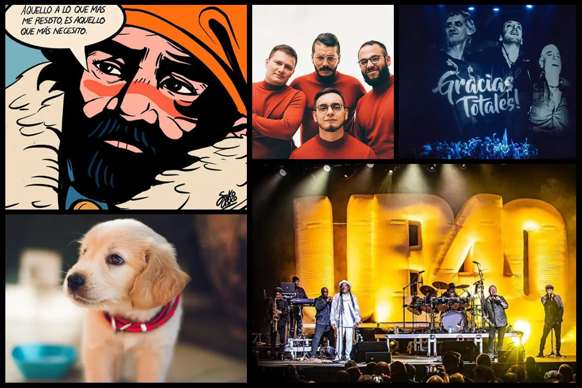Collage música, perro, ilustración sako asko
