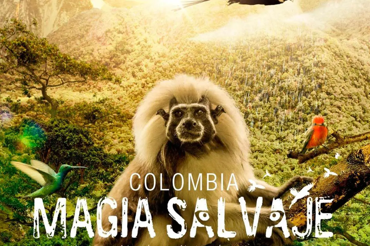 Colombia Magia Salvaje
