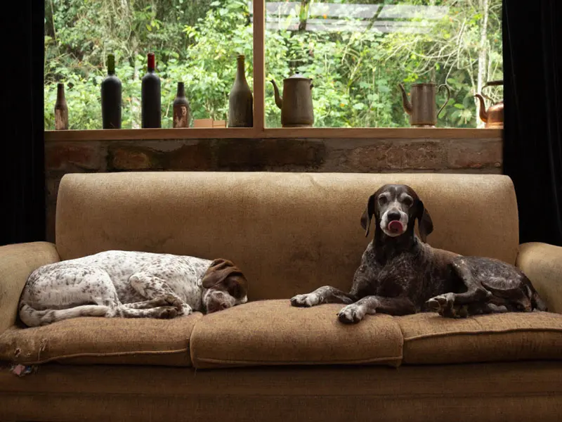 Galería: Vea las fotos finalistas del Sony World Photography Awards 2019