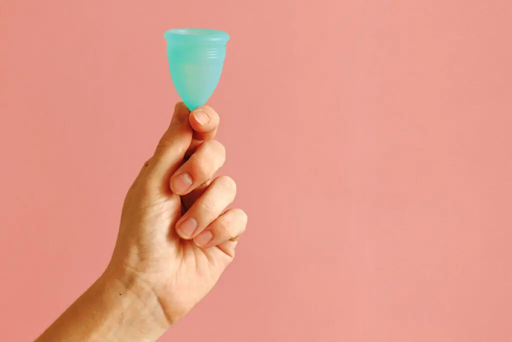 ¿cómo reemplazar las toallas sanitarias? La odisea de una ecologista Cómo reemplazar las toallas sanitarias