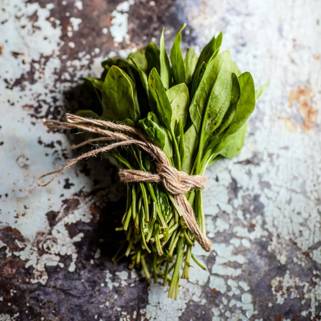 ¿Por qué la espinaca podría hacerlo fallar una prueba antidoping?